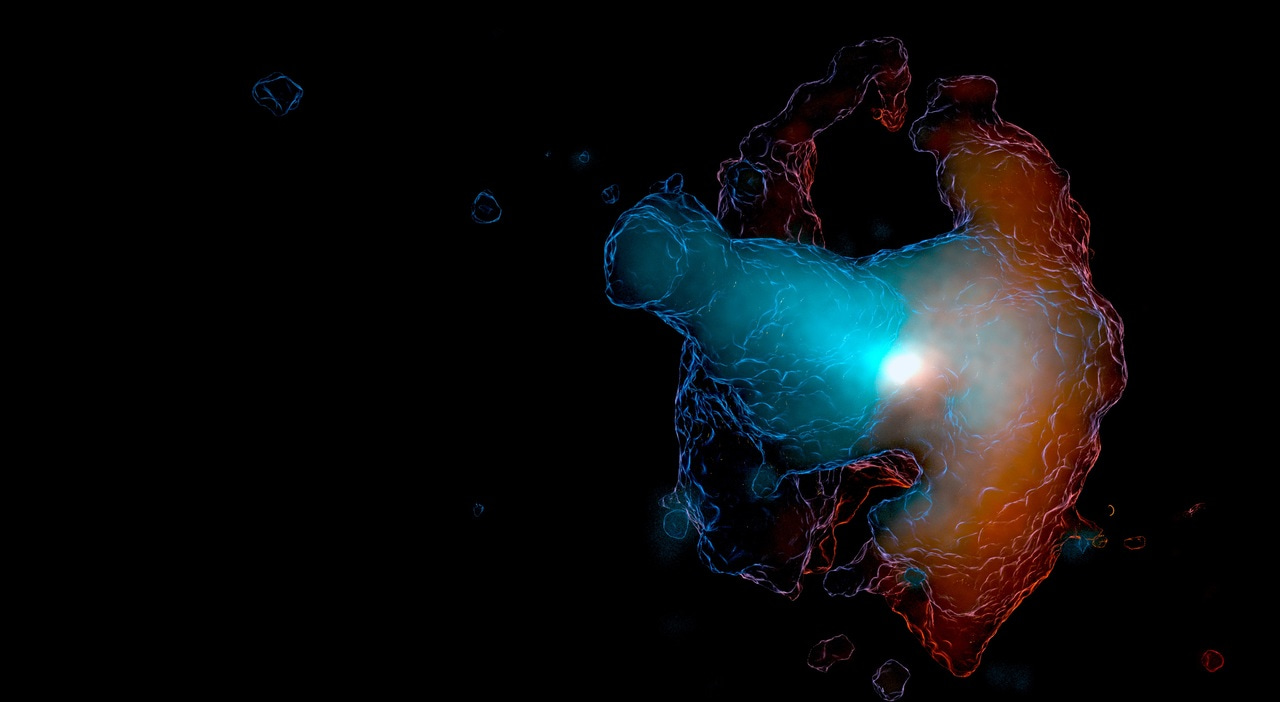 The Making of Makani