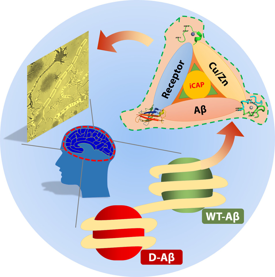 Ion Mobility-Mass Spectrometry Fuels Chiral Peptide Chemistry
