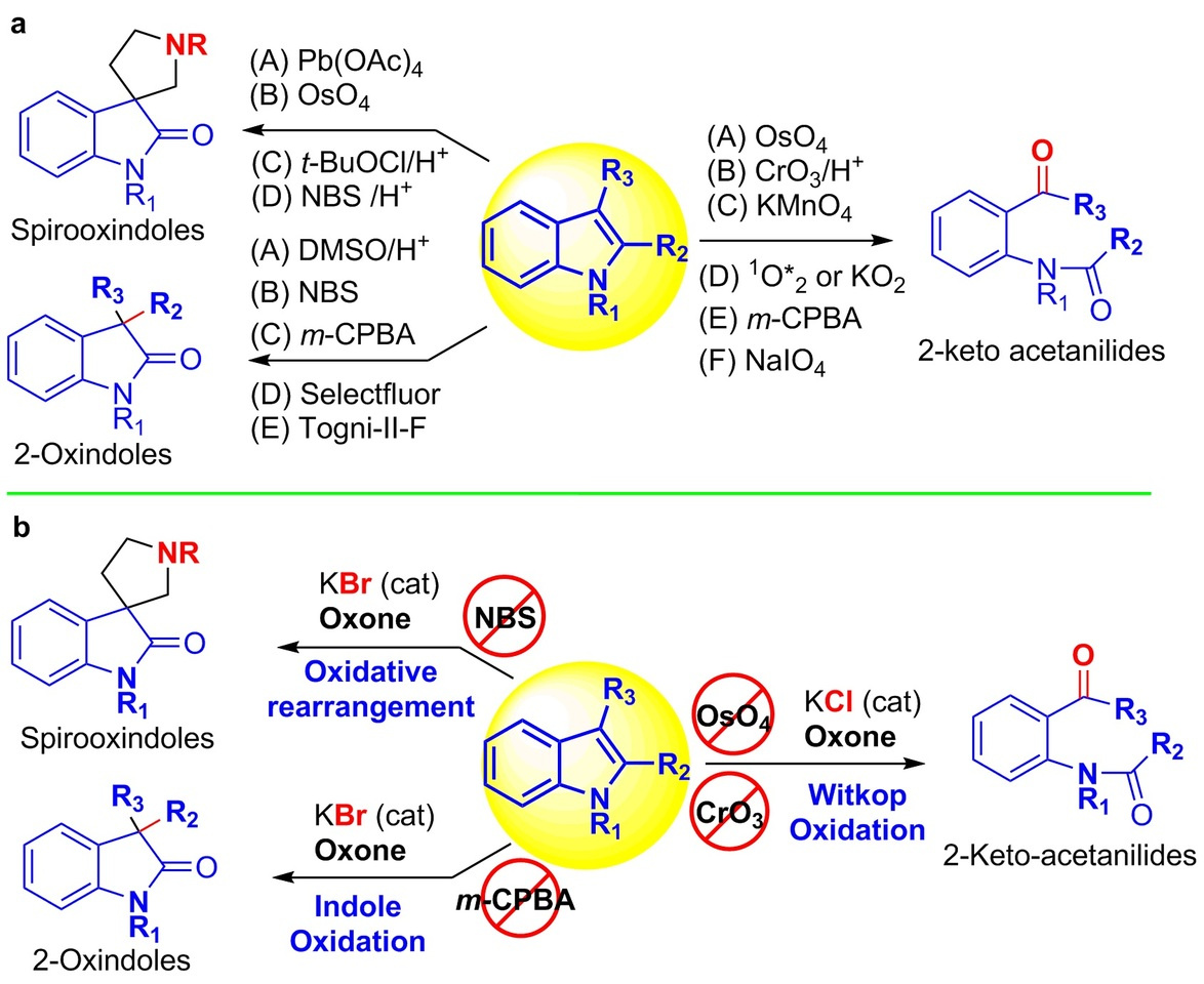Green Oxidation of Indoles using halide Catalysis