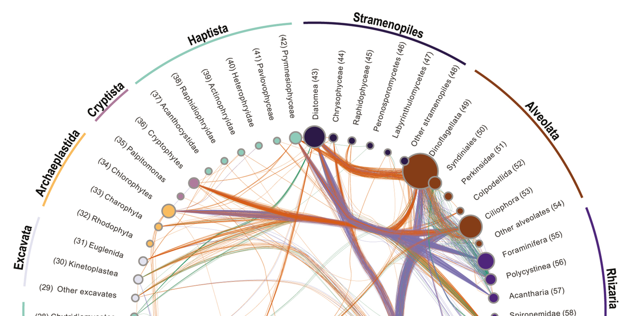 Back to the future: A time travel in scientific literature to understand protist interactions