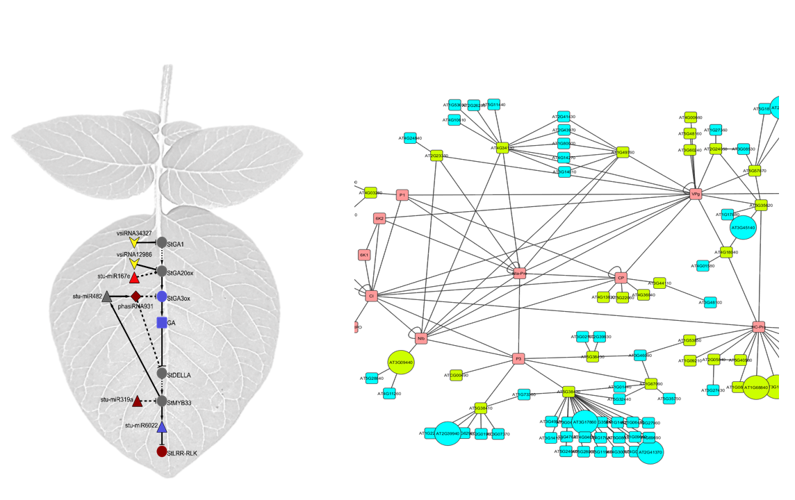 Plant defensive strategies investigated in multi-omics era