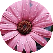 Go to the profile of Anna Moore