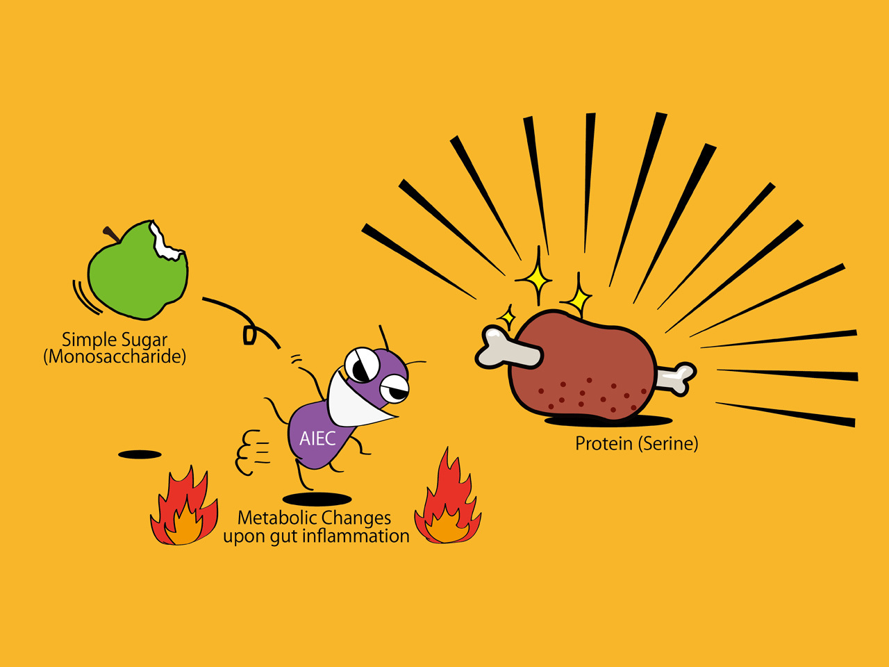 Changing food preference as a survival strategy of pathogenic E. coli during gut inflammation