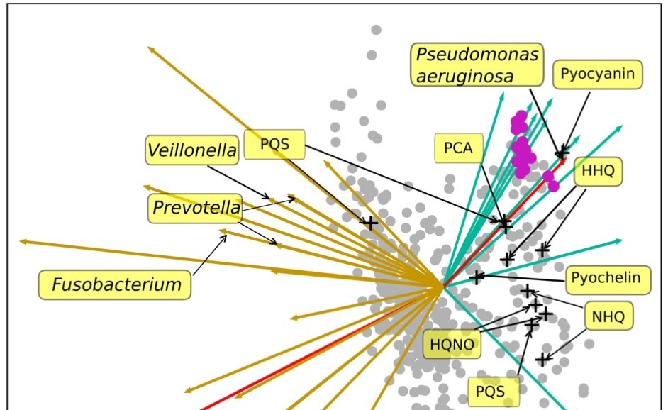 Uncovering relationships between microbes and their metabolites