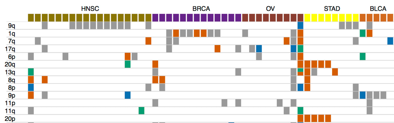 Large mutations in normal-appearing cells that neighbor tumors