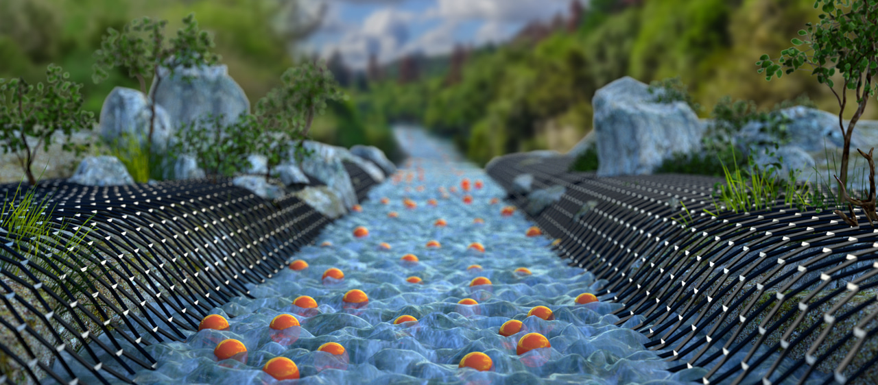 Visualizing Poiseuille flow of hydrodynamic electrons