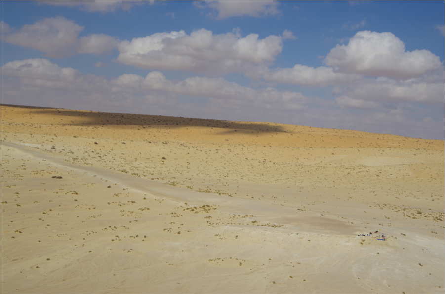 Fossil herbivore stable isotopes reveal Middle Pleistocene hominin palaeoenvironment in ‘Green Arabia’