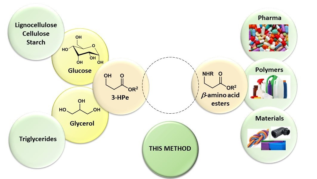 Taking the ‘high road’ to renewable beta-amino acids
