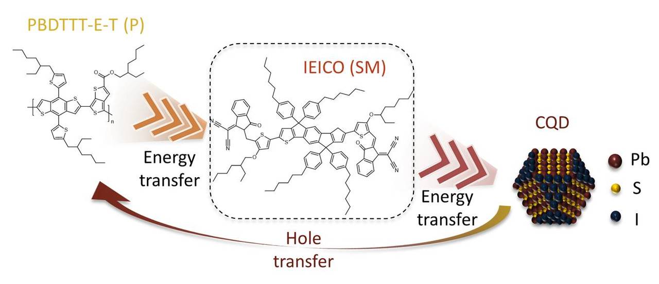 Efficient hybrid colloidal quantum dot/organic solar cells mediated by near-infrared sensitizing small molecules