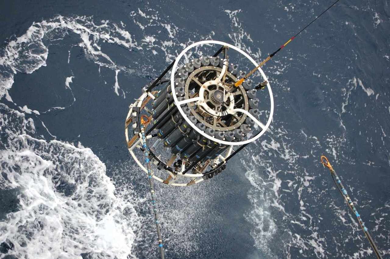 The Greatest Animal Migration on Earth