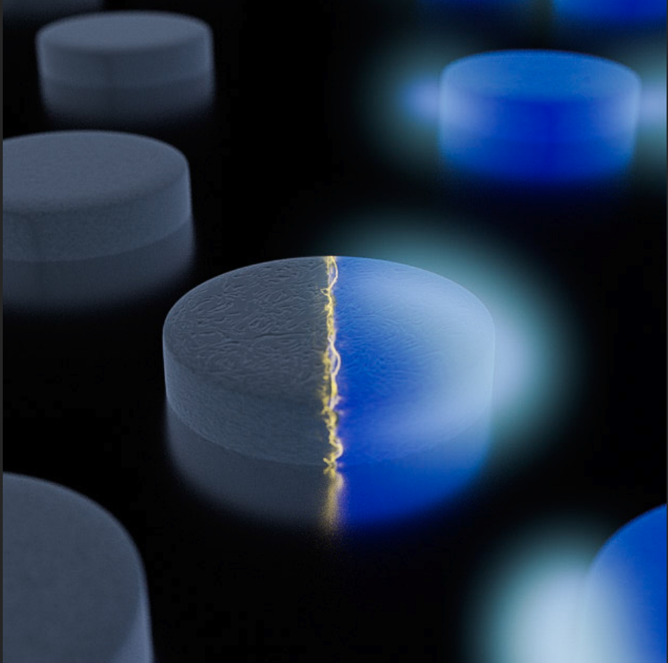 Switchable Organic Plasmonics