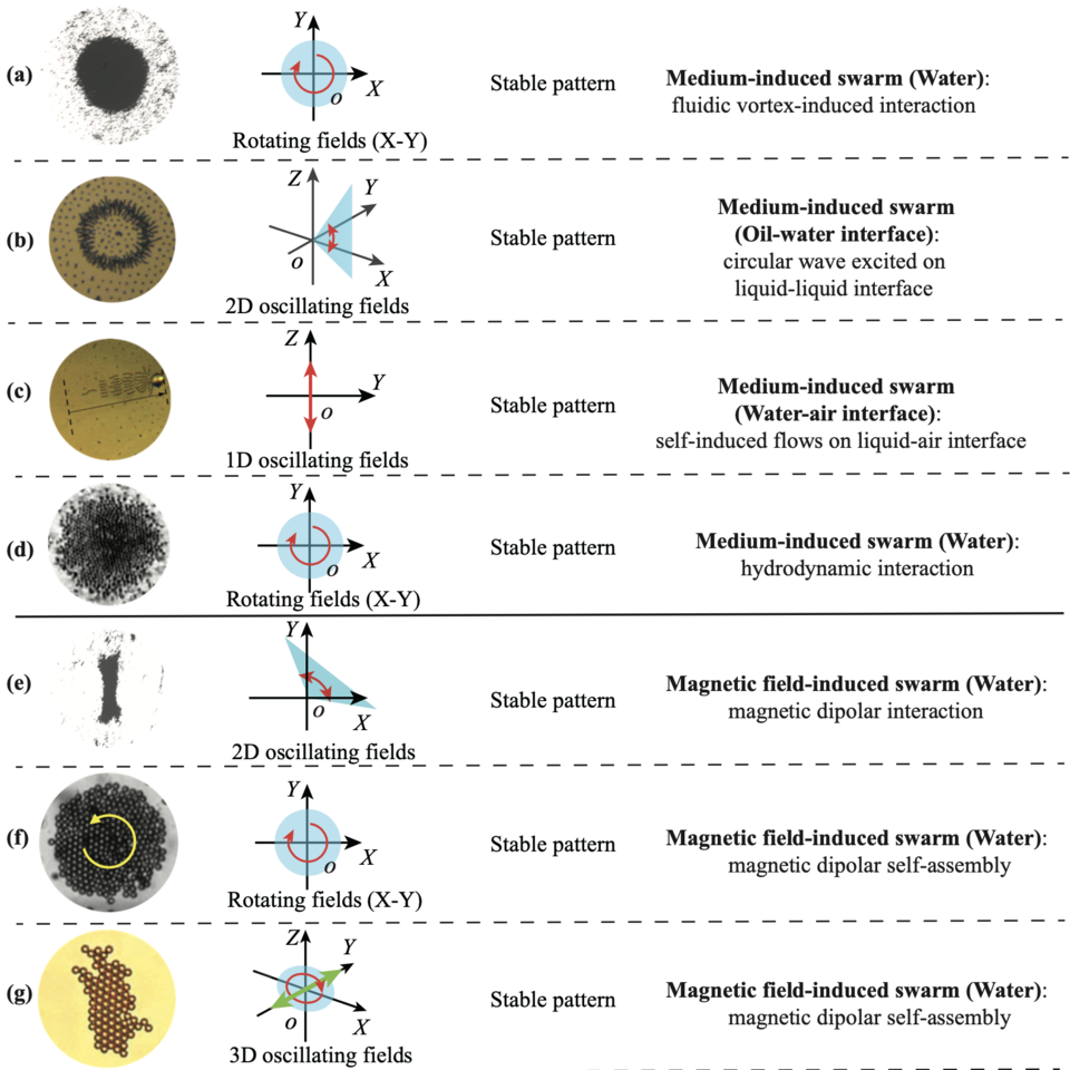 Active generation and magnetic actuation of microrobotic swarms in bio-fluids