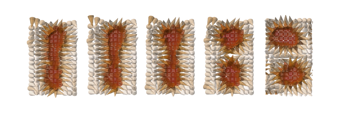Topology and control of self-assembled domain patterns in low-dimensional ferroelectrics