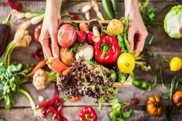 Upcoming webinar: Food Security and Sustainability from a Microbiology Perspective