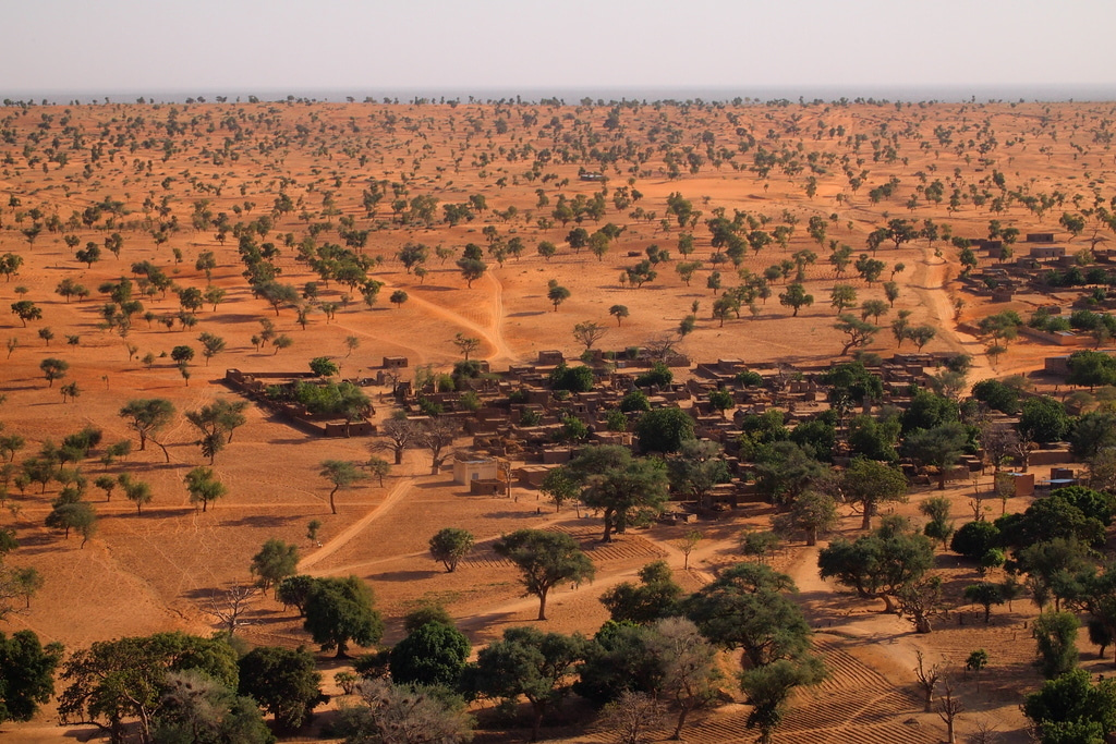 Africa’s woody vegetation in the face of demographic and climatic changes