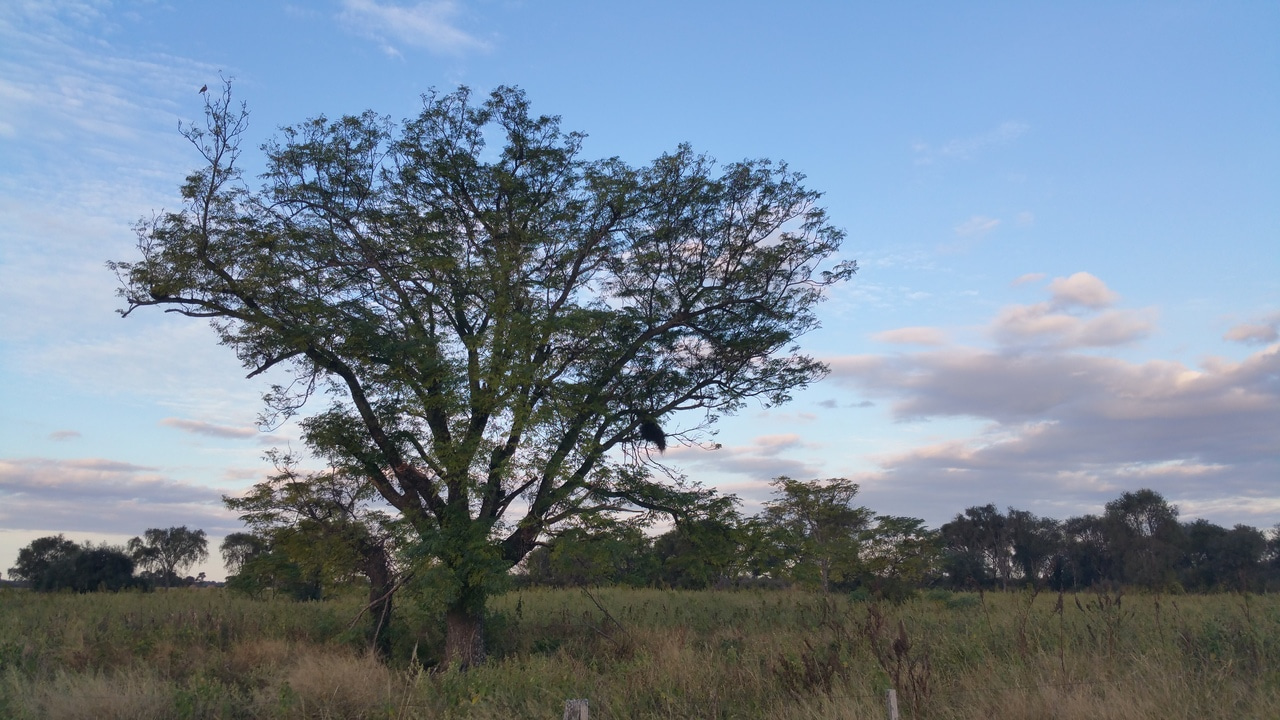 Follow the money: how the super-rich drive cropland expansion via direct investments in agriculture