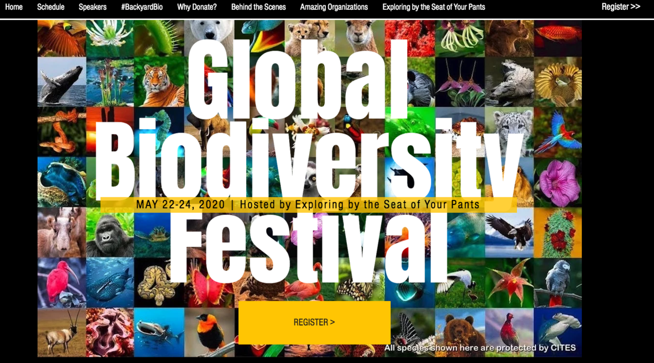 The Global Biodiversity Festival 22-24 May