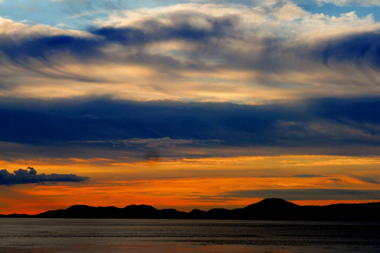 Grant for early-career conservationists in the Americas! 