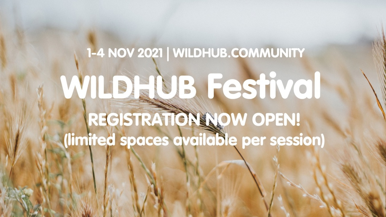 WildHub Festival 2021 next week: sign up now!