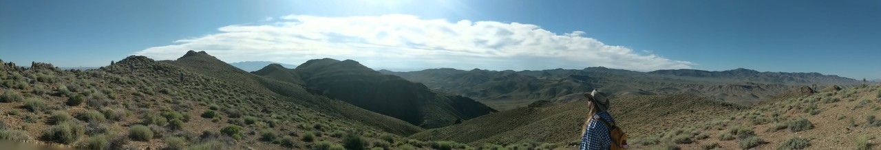 The oldest guts: Unraveling the annals of ancient animals