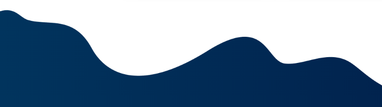 2025 MOBILITY OUTLOOK SURVEY