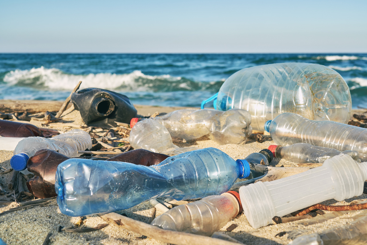 May blog: Plastic fantastic! A reflection on plastic coverage across the media and policy