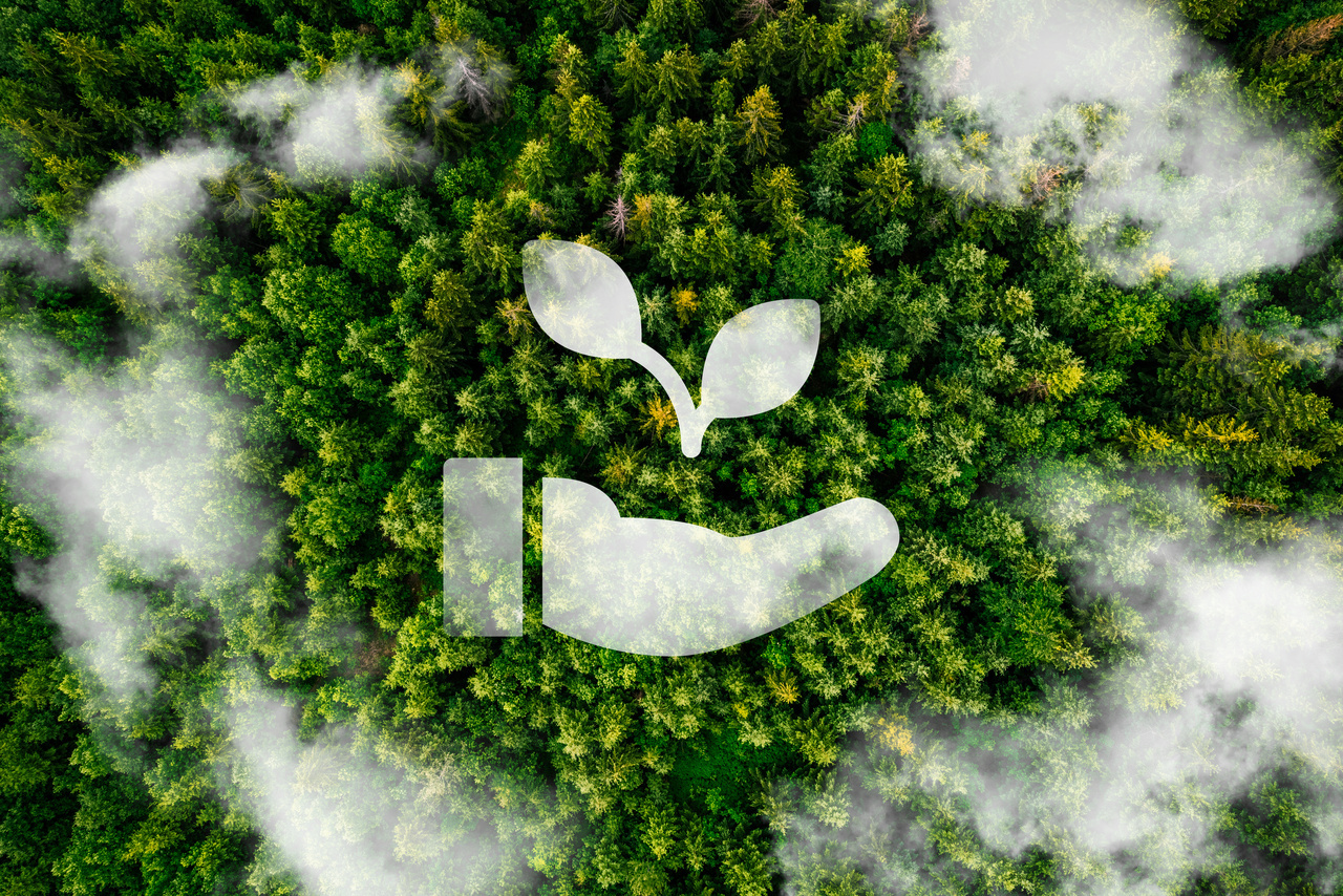 December blog: Green skills and what this means for our sector