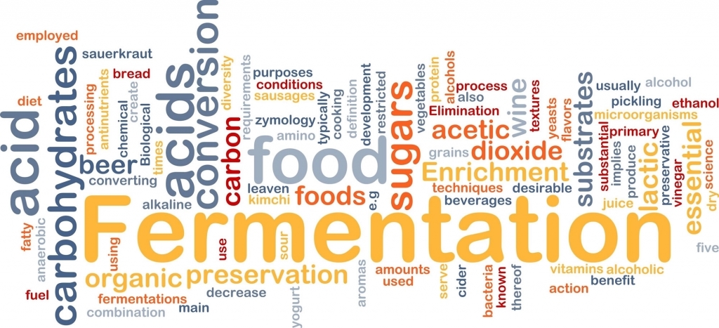 Fermented formula for the right kick-start