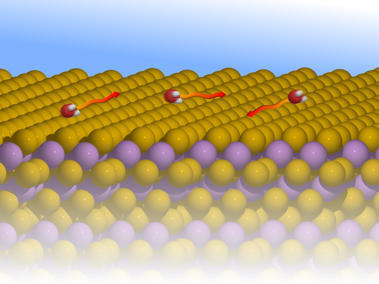 Nanoscopic diffusion of water on a topological insulator