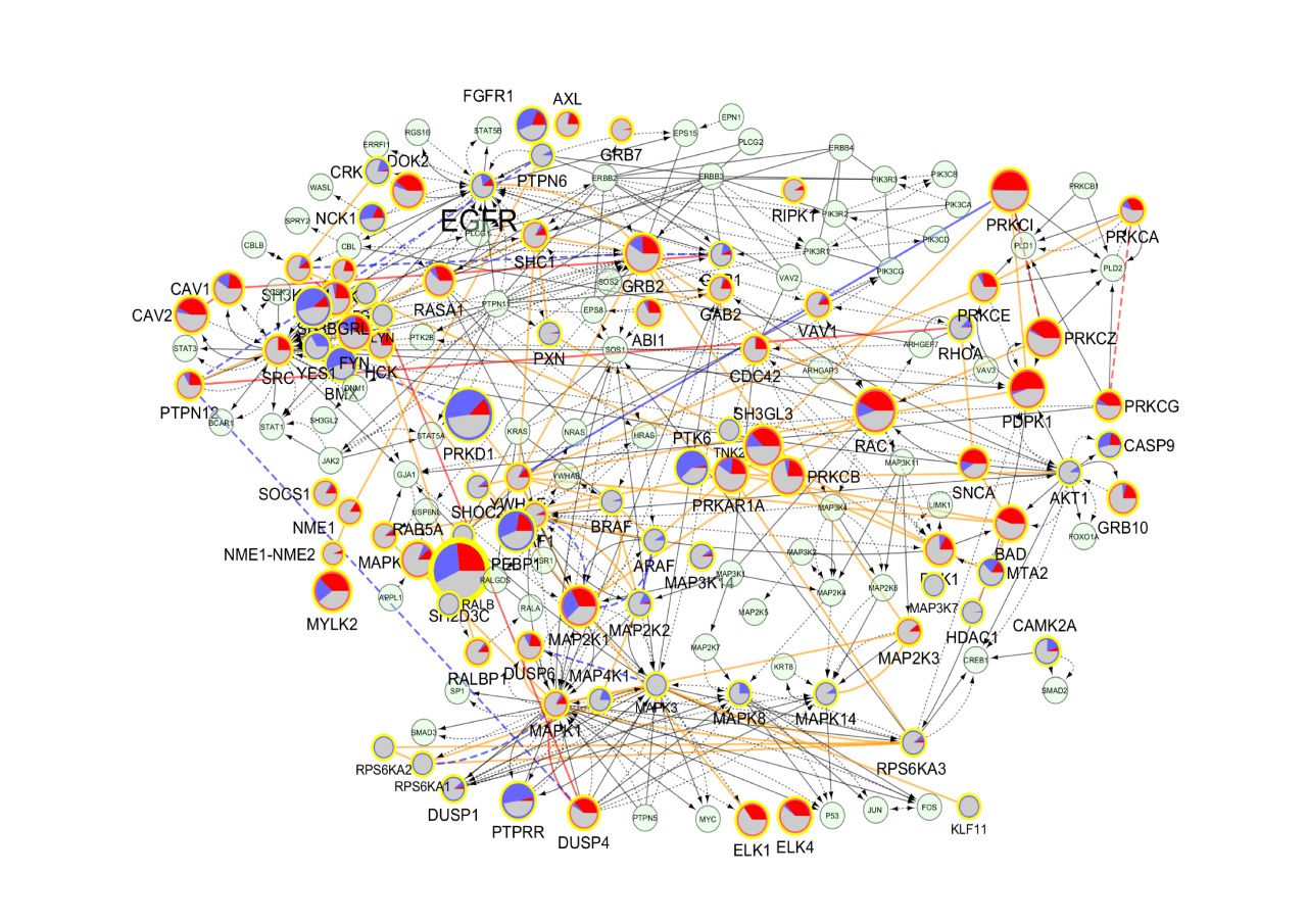 The ripple effects of a RAS mutation