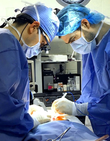 Go to the profile of Guenthart & O'Neill