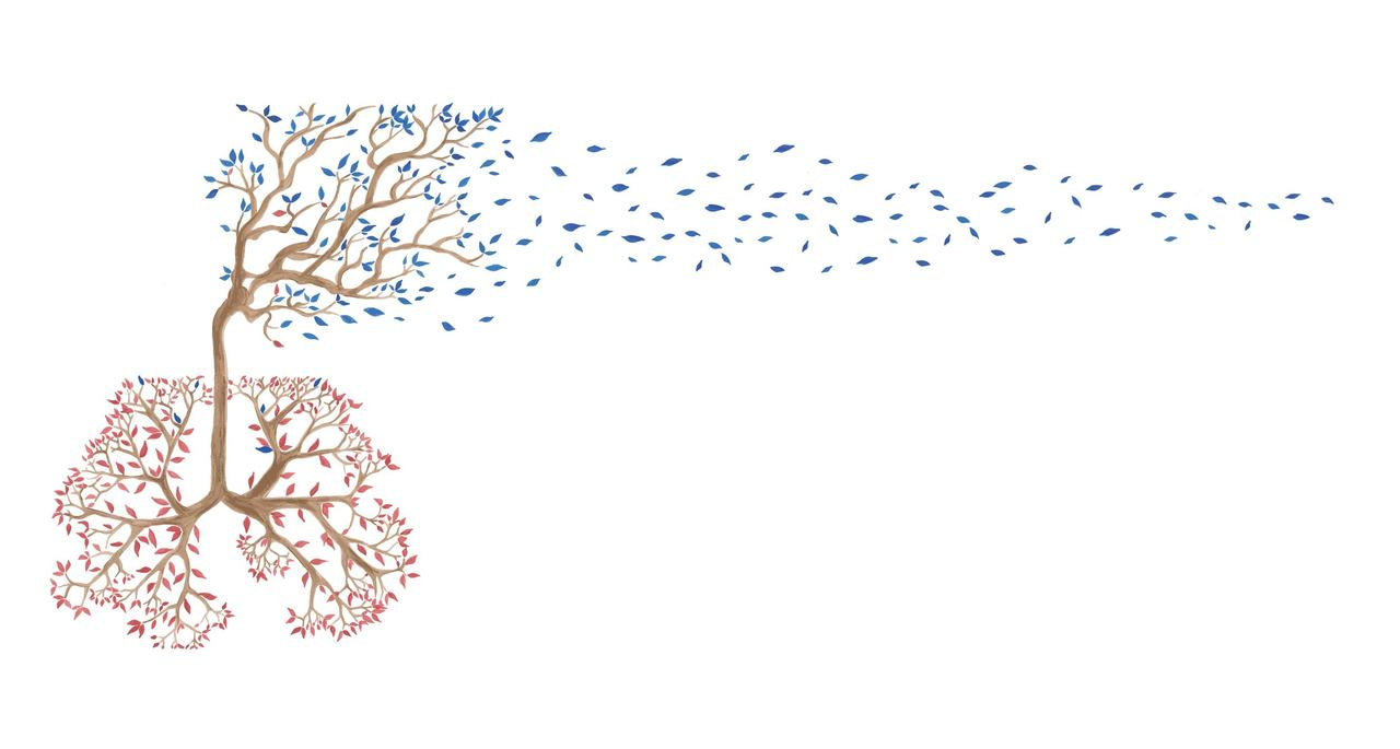 Flu viruses take off from the nose