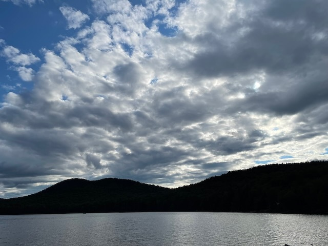 Dynamic forests and flexible subsistence in pre-colonial southern New England: comment on Turner and Reid