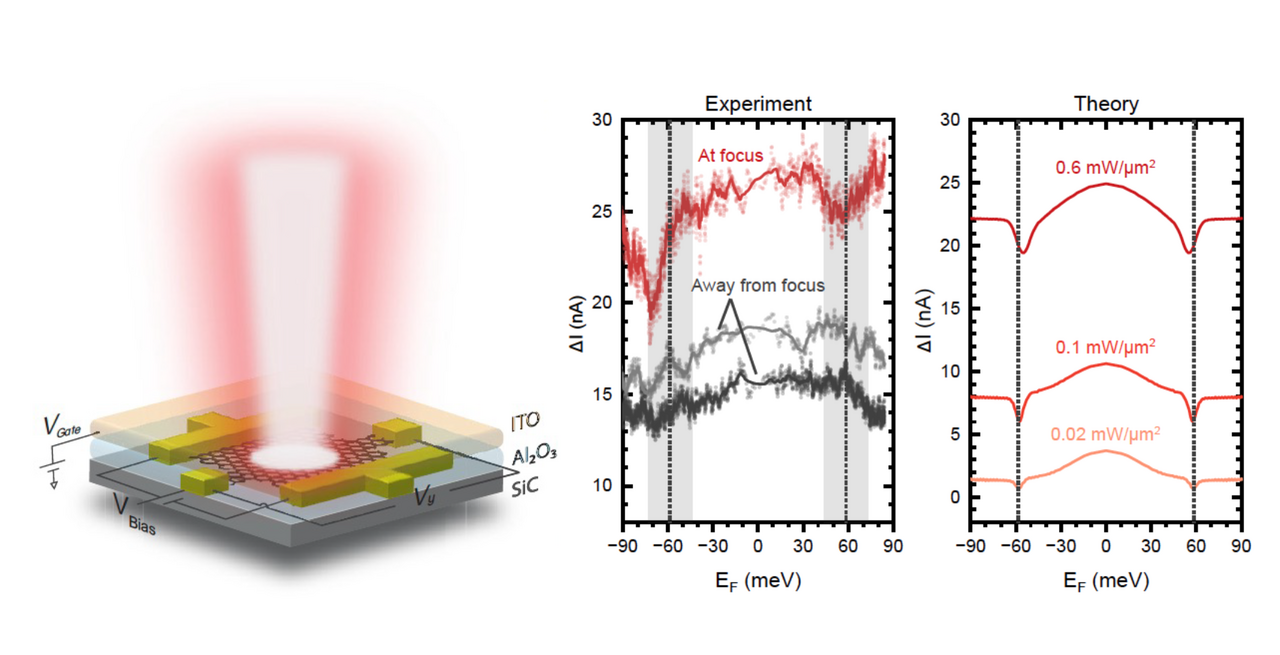 Creating  steady Floquet states in graphene via mid-infrared irradiation 