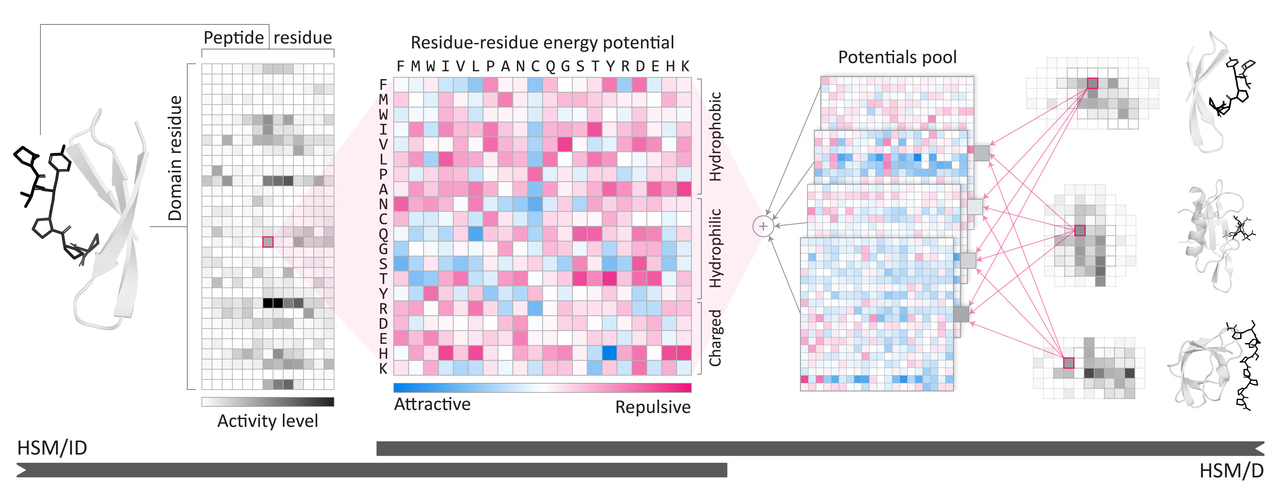 Imbuing machine learning with a hint of biophysics.
