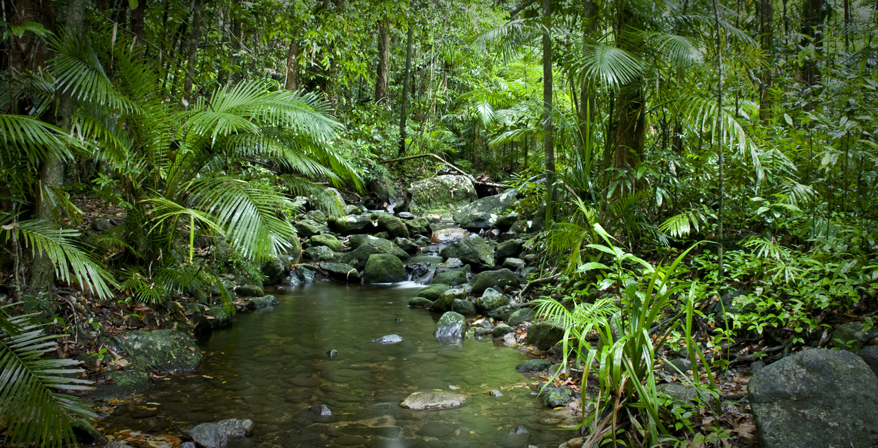 Biodiversity hotspots are most vulnerable to global warming.