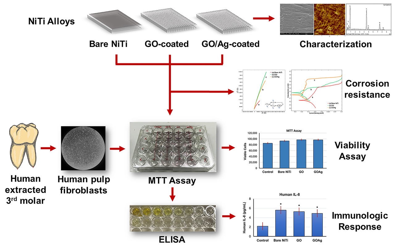 Corrosion Resistance and Cytokines Expression of Graphene oxide/Silver Coatings