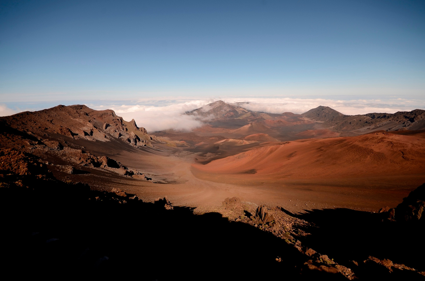 The true tempo of evolutionary radiation and decline revealed on the Hawaiian archipelago