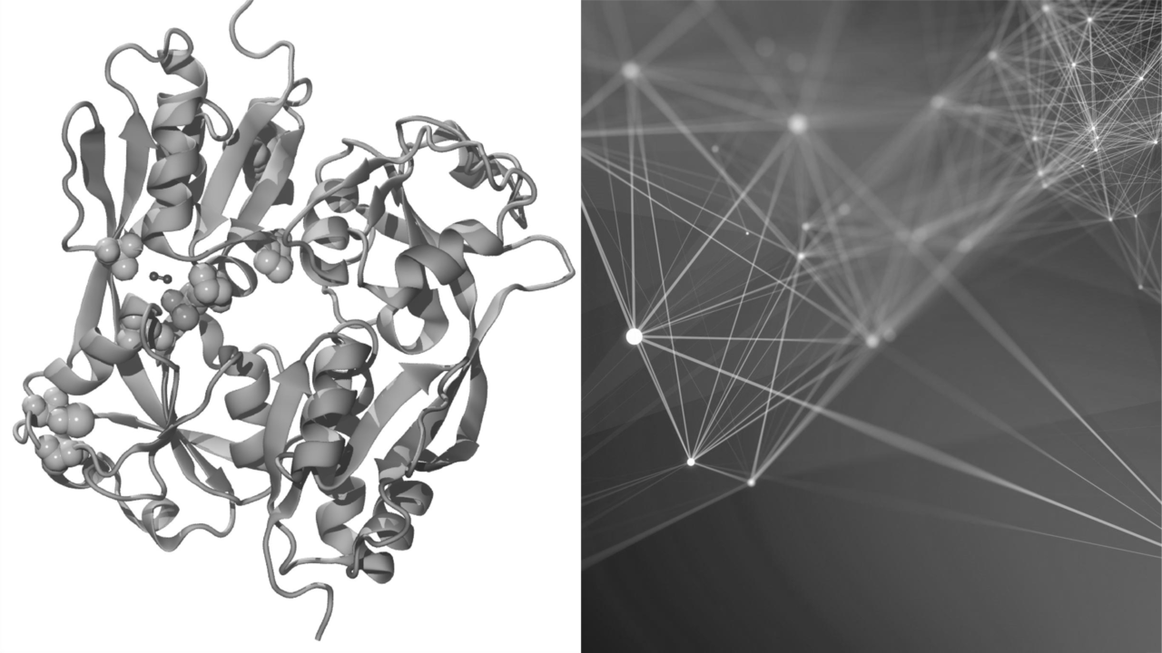Locking the redox switch: a convergent target of adaptive mutations