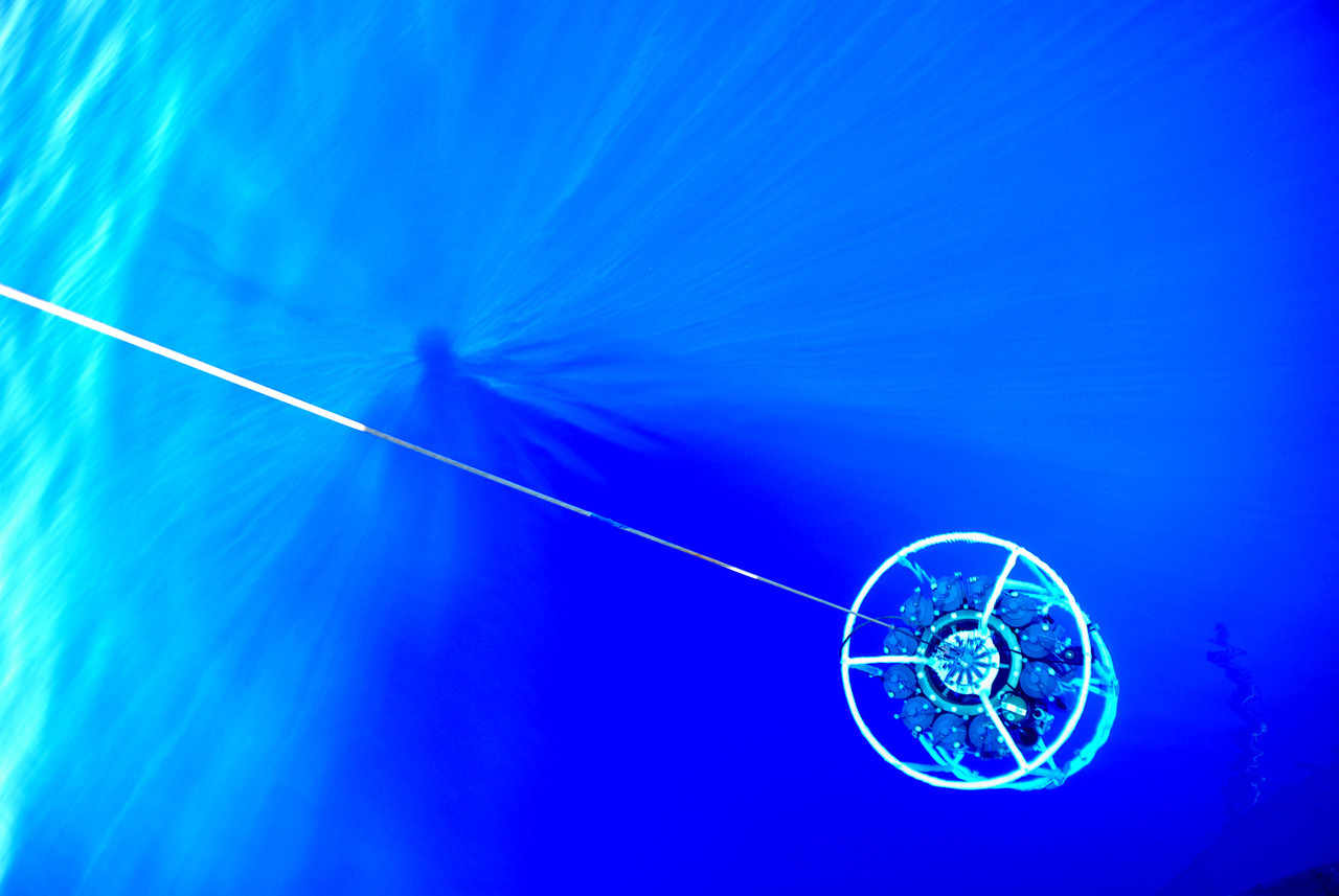 Ironing out the complexity of phytoplankton-iron interactions