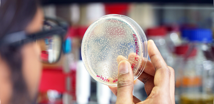 Awakening of the sleeping σ factor