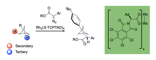 Transforming C–H Bonds on  Bicyclo[1.1.1]pentanes