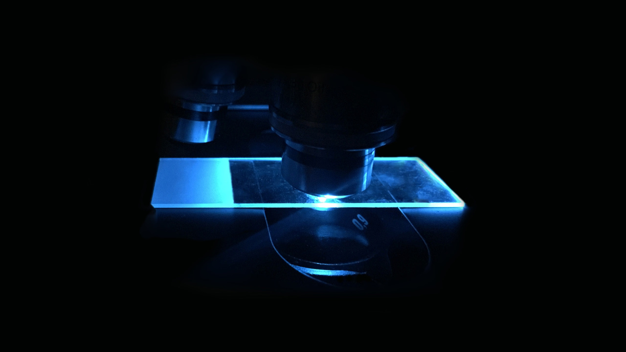 ​​​Datamining reveals how Clostridium difficile colonizes our gut​