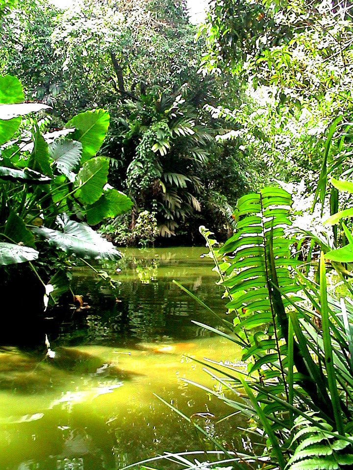 Ecosystems collapse from one state to another with surprising rapidity