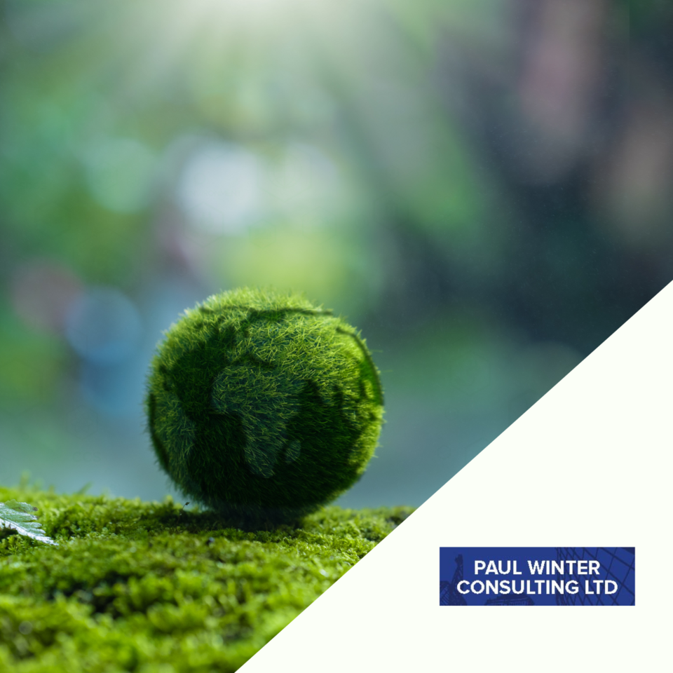 Will the UK meet ambitious Net Zero targets or is it already too late? 