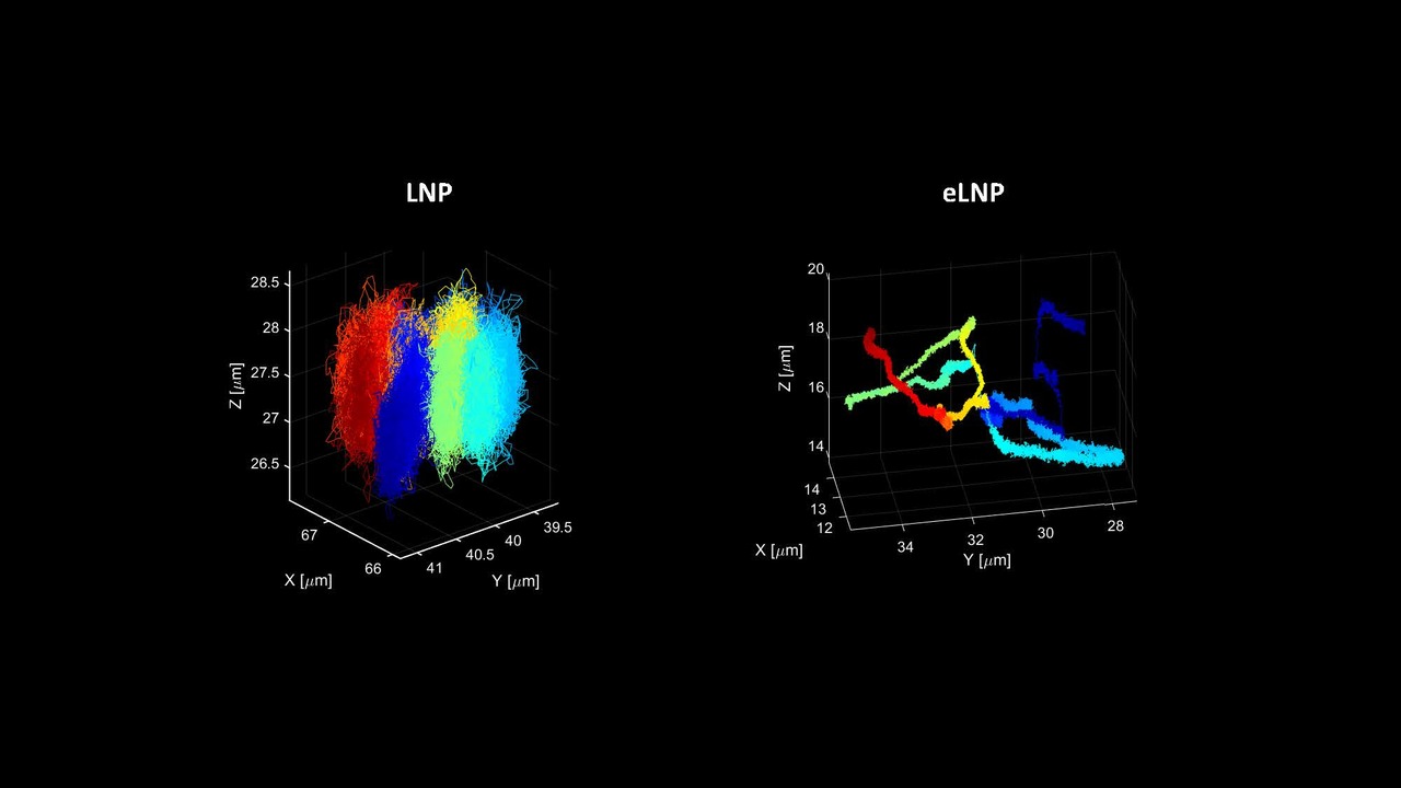 Getting lipid nanoparticles into shape for enhanced gene delivery