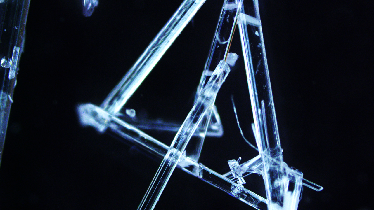 Thermomechanical characterization of single particles without the need for clean room fabricated devices