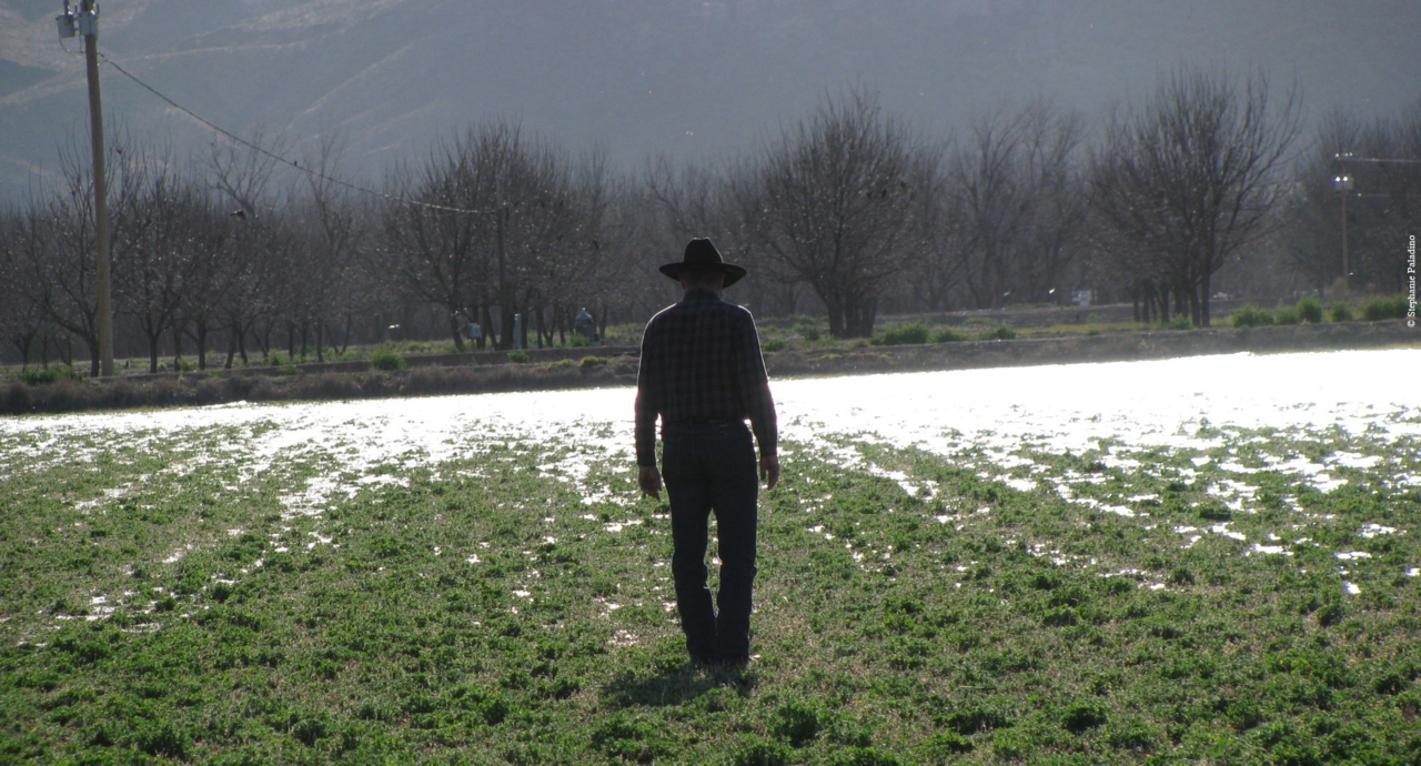 A Transboundary, Socio-Environmental Data Synthesis for the Rio Grande/Río Bravo basin