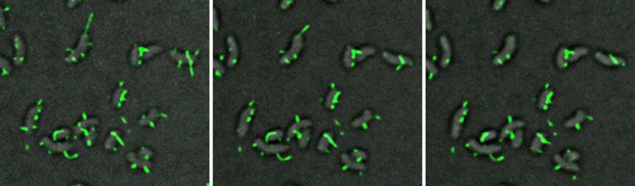 Do I stay, or do I go? 