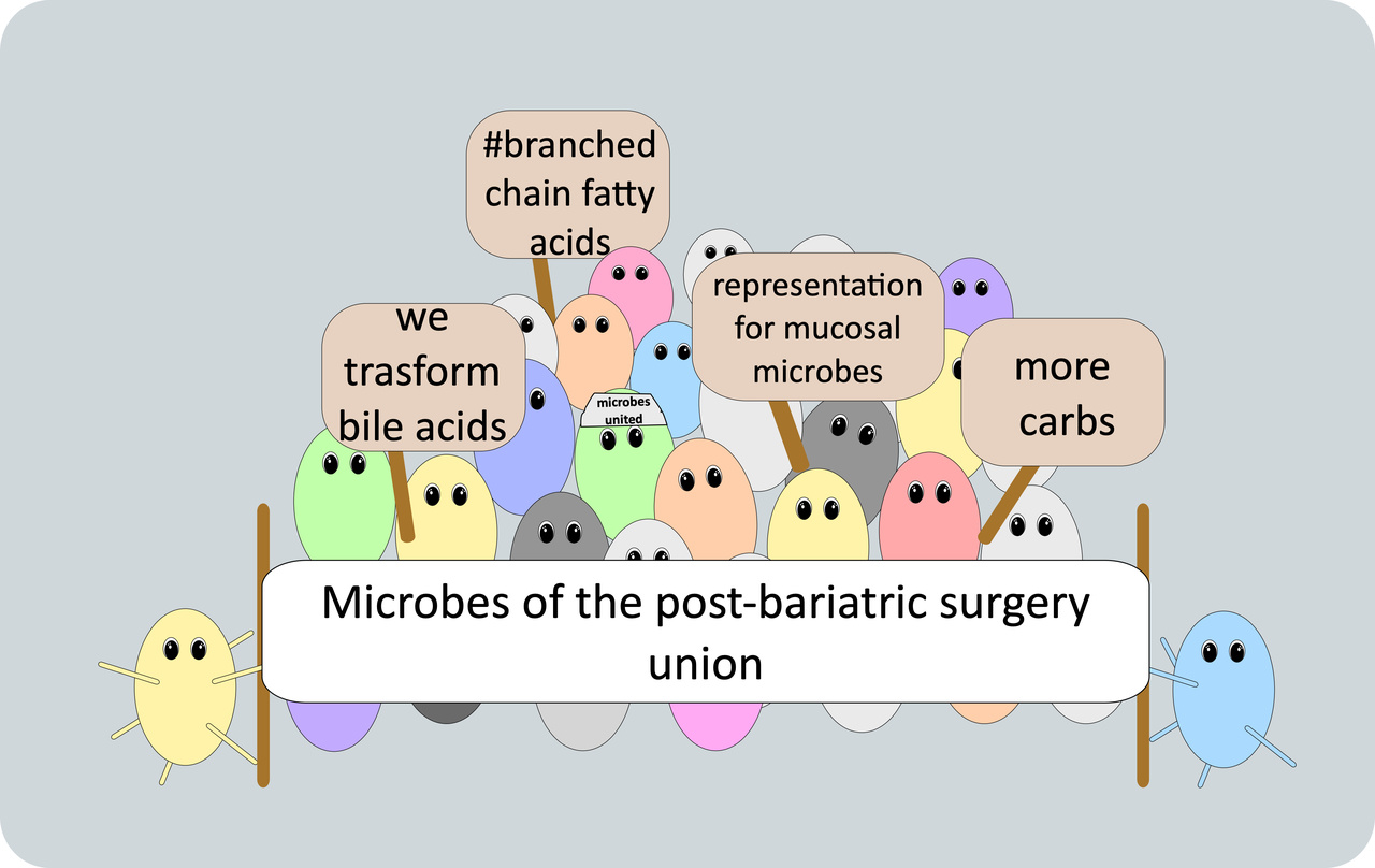 What happens to microbes after bariatric surgery?